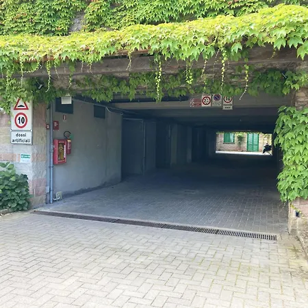 Sant'anna Del Volterraio - Papaveri 7 *