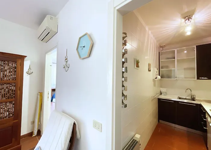 Del Volterraio - Papaveri 7 *