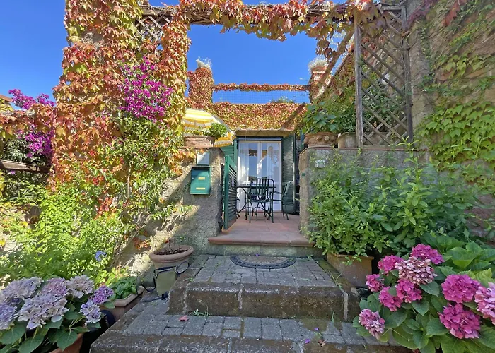 Del Volterraio - Papaveri 7 *