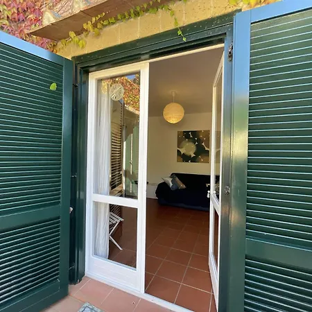 Del Volterraio - Papaveri 7 Sant'Anna (Isola d'Elba)