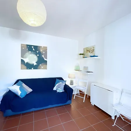 Del Volterraio - Papaveri 7