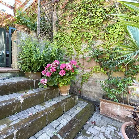 Del Volterraio - Papaveri 7