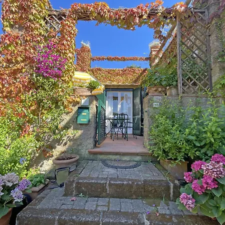 Del Volterraio - Papaveri 7 *