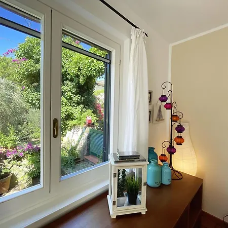 Del Volterraio - Papaveri 7 Sant'Anna (Isola d'Elba)