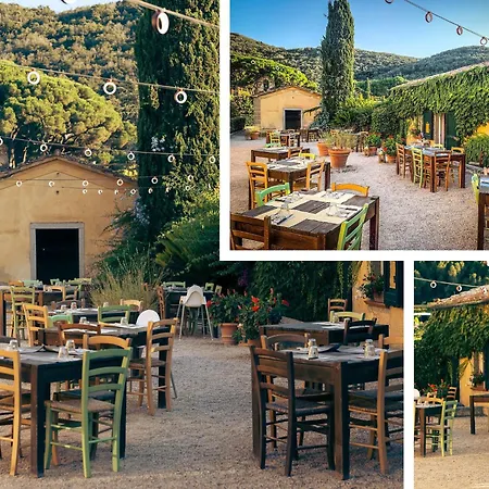 Del Volterraio - Papaveri 7