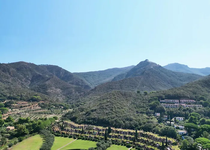 Del Volterraio - Papaveri 7 *