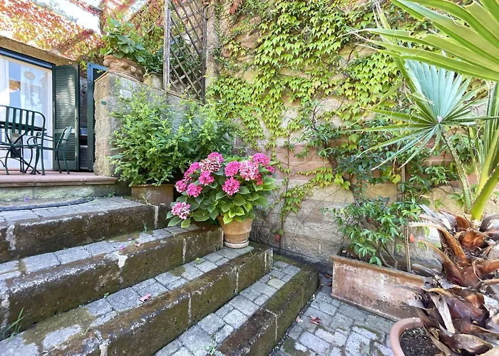 Del Volterraio - Papaveri 7