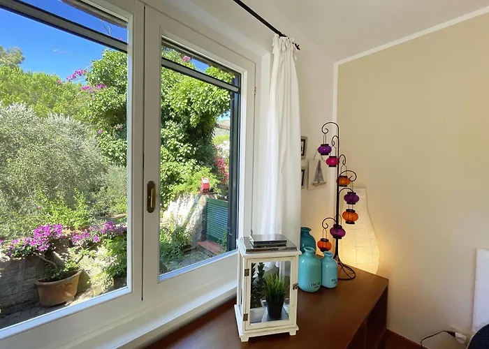 Del Volterraio - Papaveri 7 Sant'Anna (Isola d'Elba)