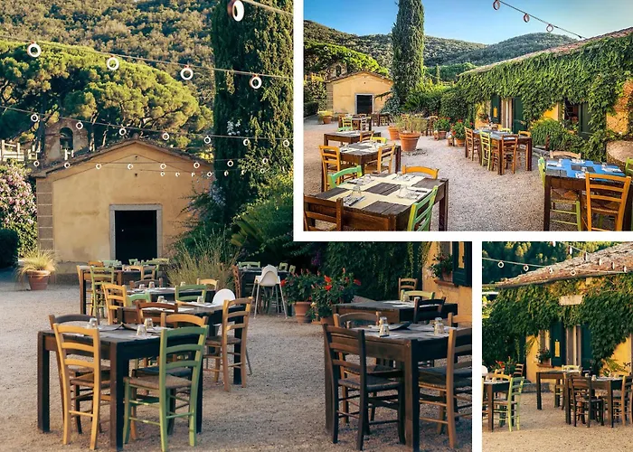 Del Volterraio - Papaveri 7